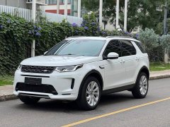 Lexus Discovery Sport 2020 249PS R-Dynamic Performance Edition - фото 1