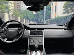 Lexus Discovery Sport 2020 249PS R-Dynamic Performance Edition - фото 10
