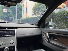 Lexus Discovery Sport 2020 249PS R-Dynamic Performance Edition - фото 11