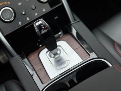 Lexus Discovery Sport 2020 249PS R-Dynamic Performance Edition - фото 13