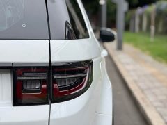 Lexus Discovery Sport 2020 249PS R-Dynamic Performance Edition - фото 20