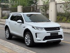 Lexus Discovery Sport 2020 249PS R-Dynamic Performance Edition - фото 3