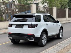 Lexus Discovery Sport 2020 249PS R-Dynamic Performance Edition - фото 8