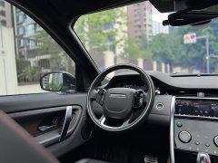 Lexus Discovery Sport 2020 249PS R-Dynamic Performance Edition - фото 9