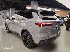 Lynk & Co Lingrui New Energy PLUS - фото 10