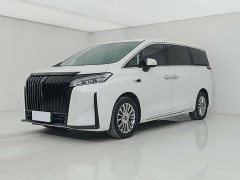 Lexus Wei brand Alpine four-wheel drive flagship version - фото 1