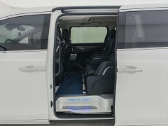Lexus Wei brand Alpine four-wheel drive flagship version - фото 12