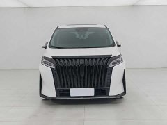 Lexus Wei brand Alpine four-wheel drive flagship version - фото 2