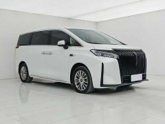 Lexus Wei brand Alpine four-wheel drive flagship version - фото 3
