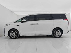 Lexus Wei brand Alpine four-wheel drive flagship version - фото 5