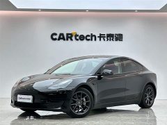 Tesla Model 3 Standard Range Rear Drive Upgraded Version - фото 1
