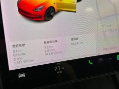 Tesla Model 3 Standard Range Rear Drive Upgraded Version - фото 14