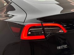 Tesla Model 3 Standard Range Rear Drive Upgraded Version - фото 20