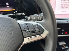 Lanjing 530TSI four-wheel drive flagship Shengjing Pro mass-market 6 seats - фото 13