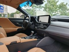 Lexus ES 2022 200 Excellence Edition - фото 14