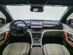 BYD Song Pro New Energy DM-i 51km luxury - фото 11