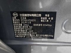 BYD Song Pro New Energy DM-i 51km luxury - фото 18