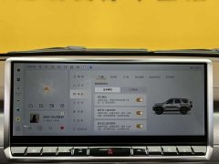 Tank 700 New Energy Hi4-T Extreme Edition - фото 18