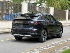 Lexus Tanyue X 2023 330TSI two-wheel drive flagship smart version - фото 8
