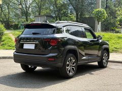 Haval Big Dog PLUS 2023 2.0T two-wheel drive wild version Plus - фото 15