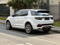 Lexus Discovery Sport facelift 249PS R-Dynamic S performance version 5 seats - фото 15