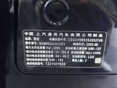 Buick GL8 New Energy Lu Shang Exclusive Edition - фото 9