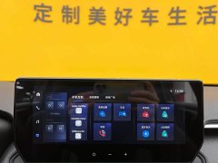 Lynk & Co Wilanda 2.0L CVT two-wheel drive leading version - фото 17