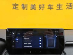 Lynk & Co Wilanda 2.0L CVT two-wheel drive leading version - фото 19