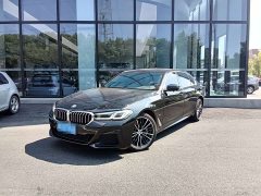 BMW 5 Series 530Li Luxury M Sport Package - фото 1