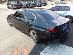 BMW 5 Series 530Li Luxury M Sport Package - фото 19