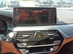 BMW 5 Series 530Li Luxury M Sport Package - фото 8