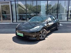 Tesla Model 3 2022 Rear-Wheel Drive - фото 1