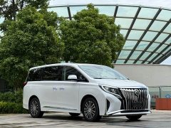 Trumpchi M8 Lingxiu Series 390T Premium Edition - фото 3
