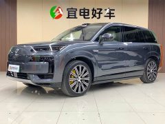 Denza N9 Honor Type - фото 1