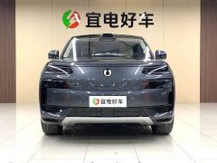 Denza N9 Honor Type - фото 2