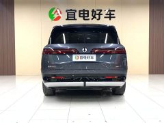 Denza N9 Honor Type - фото 6