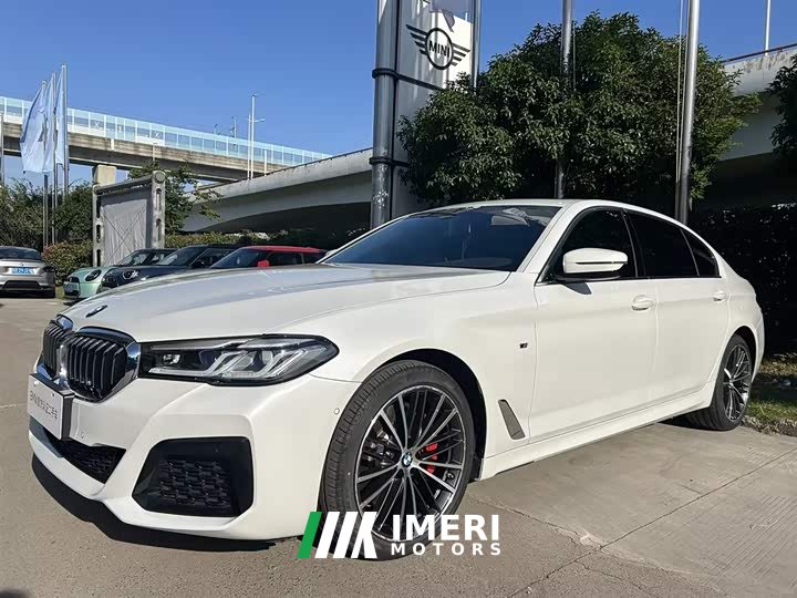 BMW 5 Series 530Li Leading M Sports Package - автомобиль из Китая