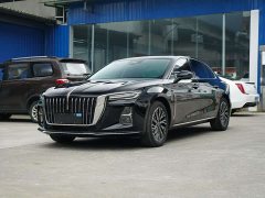 Hongqi H5 2025 2.0T automatic Qichang version - фото 1