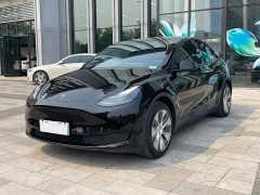 Tesla Model Y rear-wheel drive version - фото 1