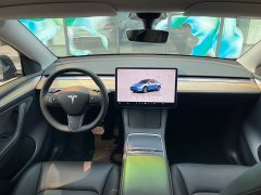 Tesla Model Y rear-wheel drive version - фото 19