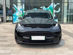 Tesla Model Y rear-wheel drive version - фото 2