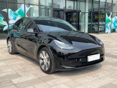 Tesla Model Y rear-wheel drive version - фото 3