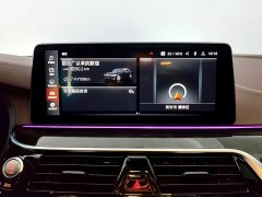 BMW 5 Series 2022 facelift 525Li luxury package - фото 15