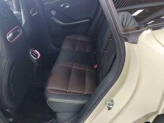 smart Elf #3 Pulse four-wheel drive version - фото 17