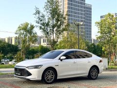 BYD Qin PLUS 2023 Champion Edition DM-i 55KM Transcendent Type - фото 1