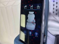Trumpchi M8 2021 Lingxiu Series 390T Deluxe Edition - фото 15