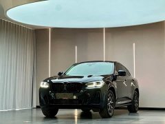 BMW X4 xDrive25i M Sport Package - фото 1