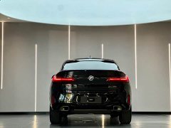 BMW X4 xDrive25i M Sport Package - фото 10