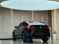 BMW X4 xDrive25i M Sport Package - фото 11