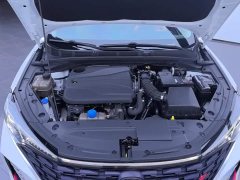 Changan EADO Enjoy Edition PLUS Blue Whale NE 1.4T GDI DCT Premium Edition - фото 10